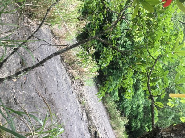 分遣所、斜壁2774338