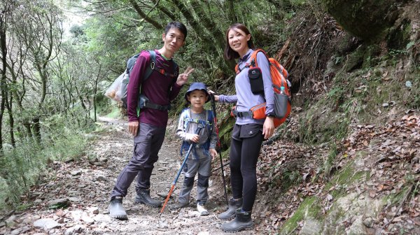 奇萊南華登山健行趣(百岳41號＆75號)1840255