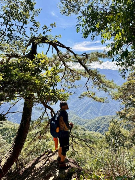 20251014雪見遊憩區 🚴‍♂️咖搭車走司馬限林道上東洗水山兩刷北坑山至大板根2916396