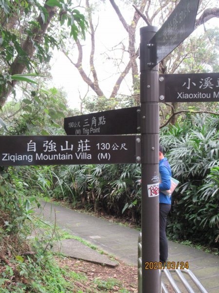 紅淡山步道907492