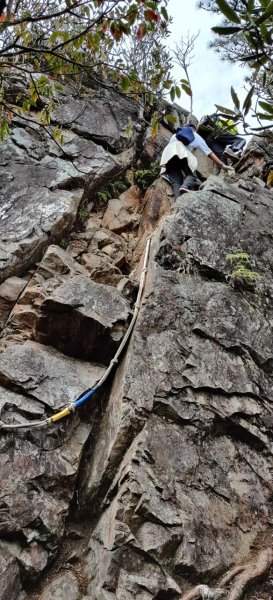 中級山-鳶嘴稍來2889021