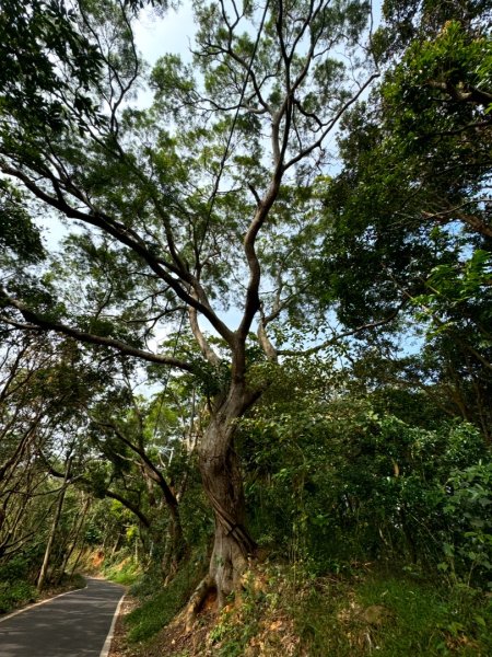 隴頂古道走萬里長城四百坎2672863