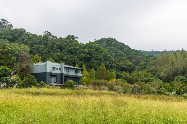 [宜蘭]鵲子山2932521