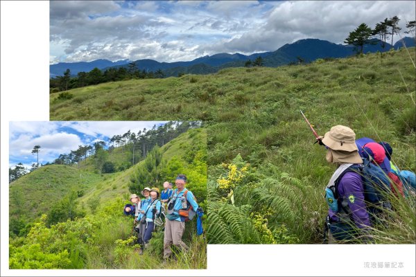 【羅馬縱走】山林巨木饗宴，夏季避暑的縱走路線2888215