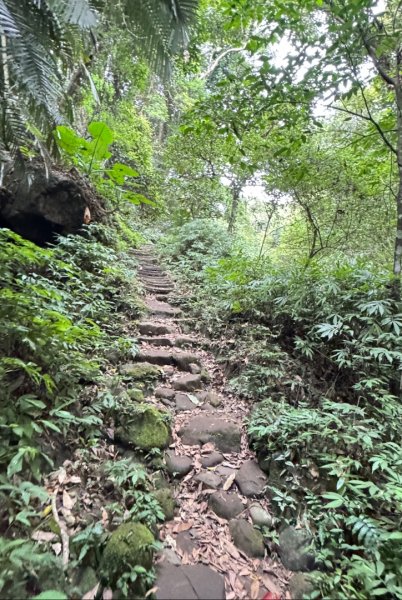 鳴鳳山古道群走鳴鳳山 三湖山吃仙草冰2923293