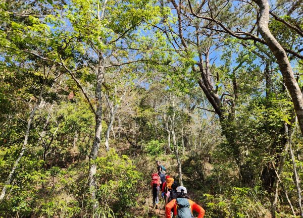 【中級山】邑治第一山，守城大山，連走守關山，守關山南峰2740902