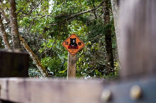 鳶嘴稍來山｜鳶嘴山稍來山O型縱走2987973