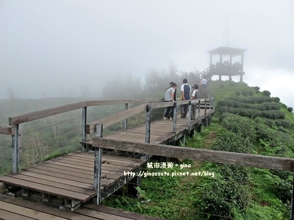 南投鹿谷~聽風~雲起~大崙山觀光茶園步道965004