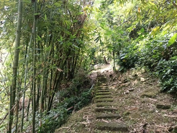 平溪區大華步道+幼坑古道+幼坑崙(大華車站-三貂嶺車站)2925178