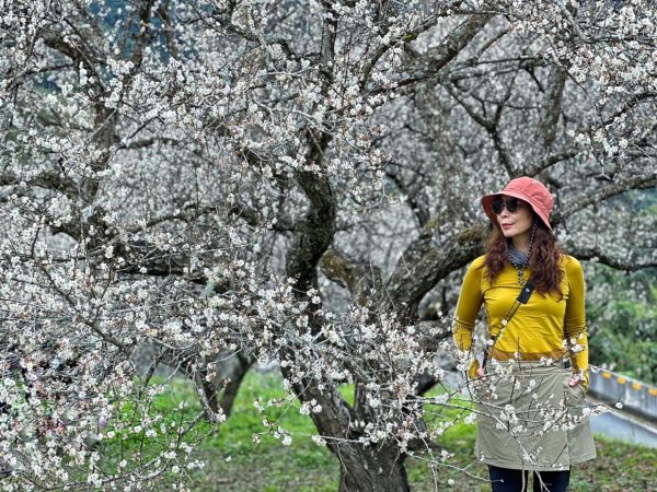 北港溪大峽谷 惠蓀林場2693022