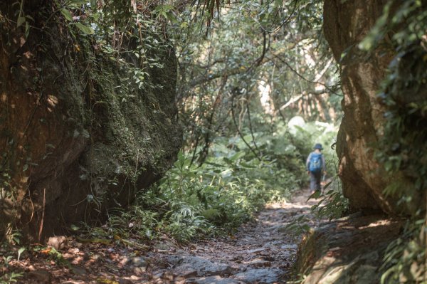 馬胎古道 （馬胎一期、南坪古道、內灣老街）3073774