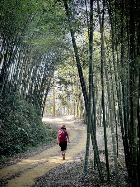 東平崙山 2023 01 252005239