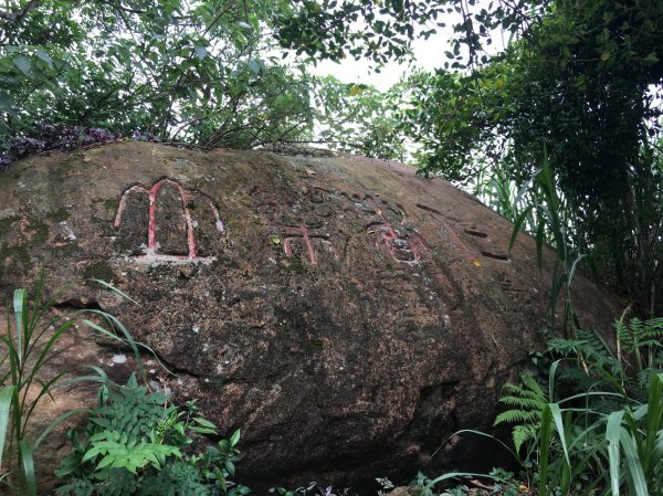 No.13 南港山步道434722