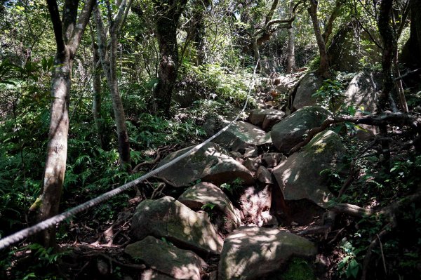 大屯山連峰步道｜陽明山小百岳2856264