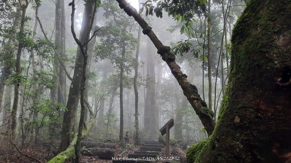 《雲林》望好望角｜石壁山嘉南雲峰步道(中側登山口）202506072805387