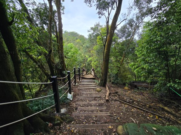 台中大坑4號登山步道2751086