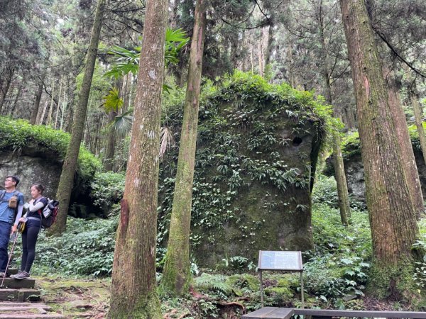 大凍山 頂湖步道1747413