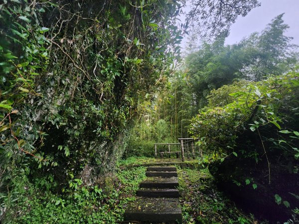 20250719頂湖上大凍山2907156