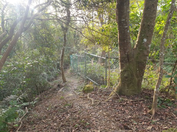 飛沙17連峰2701056