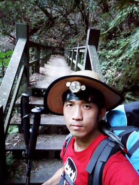 武陵四秀之桃山449064