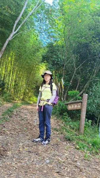 大混李棟山2816324