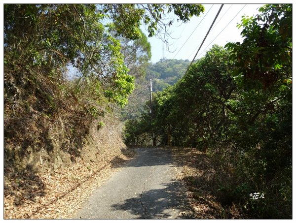 坪林山/台中-太平1283402