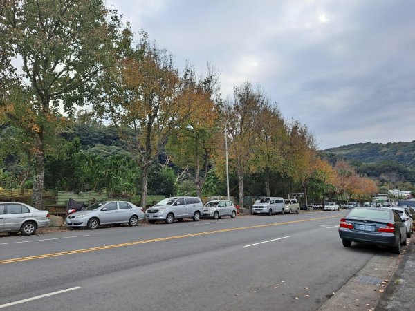20240201故宮-狗殷勤古道-平菁街賞櫻-溪山百年水圳步道-平菁步道2458470