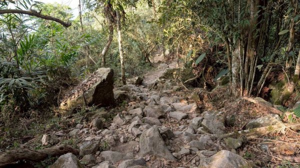 竹仔尖山步道3002517