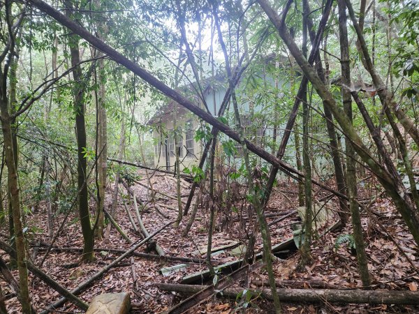 20260220板子寮山舊武界越山橫屏山O型3011642