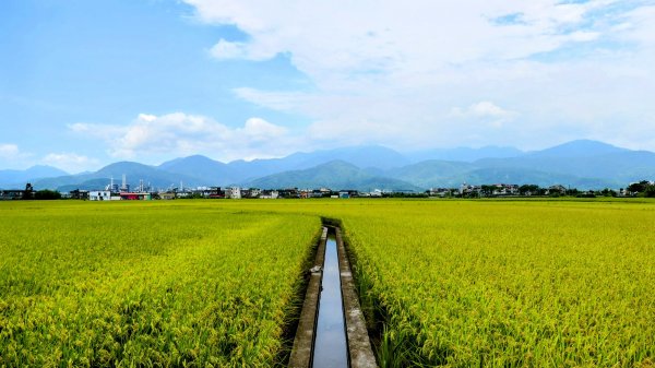 三奇美徑,52甲溼地2813342