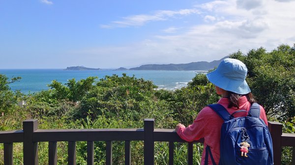 (姨婆趴趴走)第三十一集:新北金山獅頭山公園、神秘海岸、老街縱走2340225