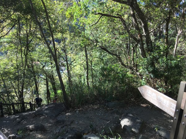 20161119_谷關七雄之四-波津加山873761