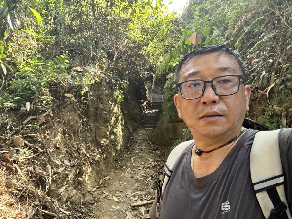 龍過脈森林步道2969788