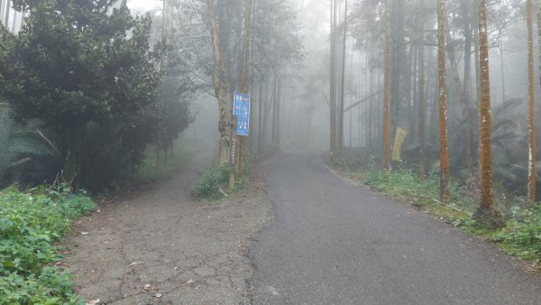 臺南白河關子嶺雞籠山步道1571874