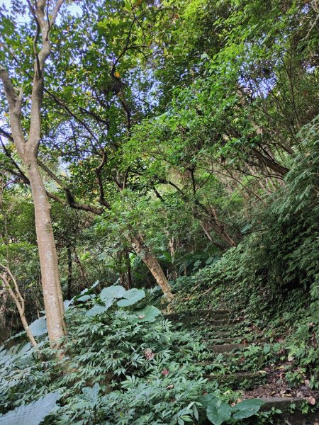 2023.12.14 土城天上山2827285