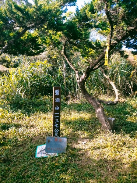 雲嘉連峰2365749