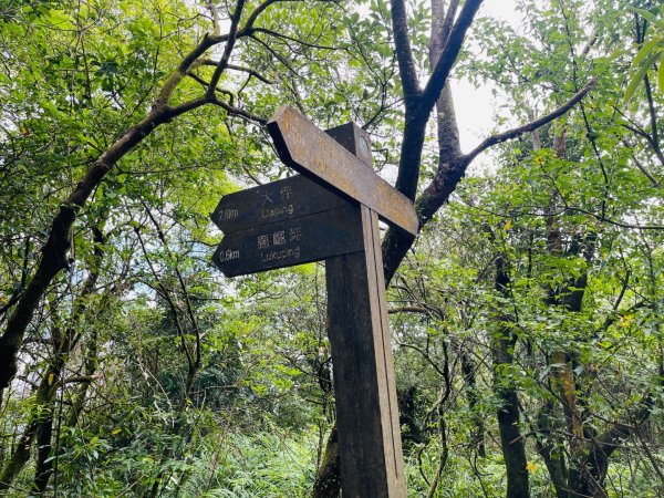 1140927磺嘴山2896081