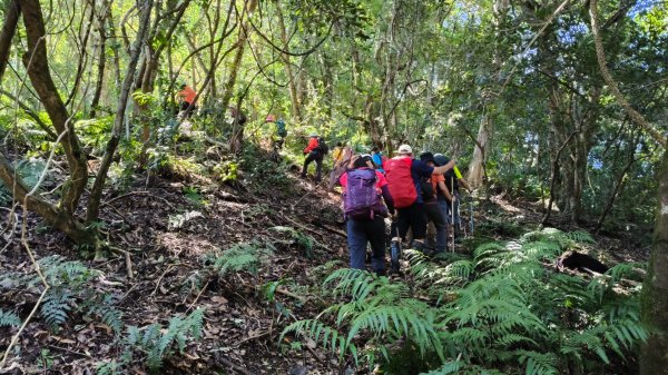 唐穗山11408162860921