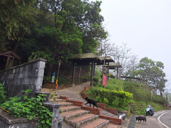 劍潭古道202503122734289