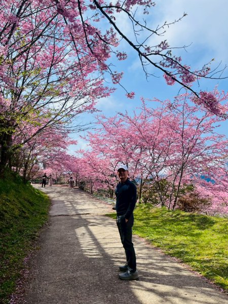 桃園 復興 巴陵 恩愛農場3011873