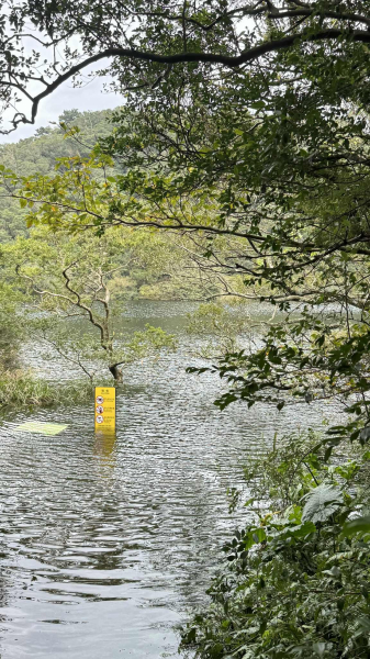 大屯五連峰雨訓(滿水位向天池)