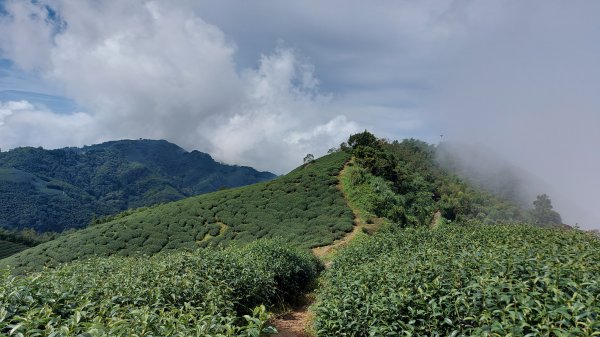 雲嘉九連峰1438954