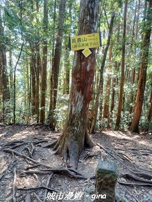 【台中和平】山林野餐。長壽山(肥崠山)山徑2969450
