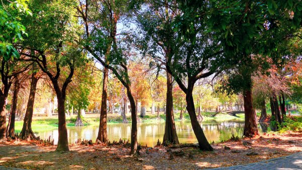 台南知事官邸等3002015