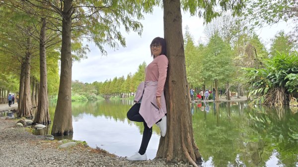 2024月眉落羽松季絕美登場，季節限定，免入園費免停車費，怎麼拍都美，不用出國就能拍繽紛大景。2668339