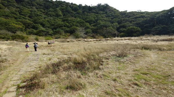 20260125 陽明山前後山健行(無極天元宮~山仔頂步道.向天池.向天山.面天山.二子坪)2997988