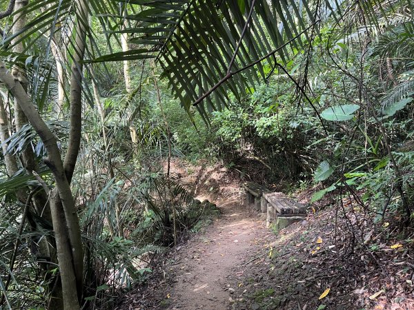 [皮皮獅探險隊-01/10] 2025_0706 六寮古道2830733