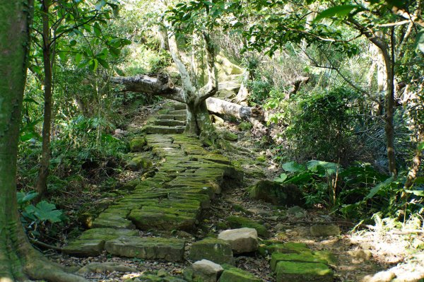 新北 三峽-土城 大暖尖山、火焰山、石門內尖山、十八羅漢岩、成福山3016617