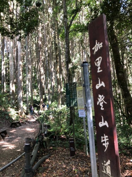台版富士山加里山·森林系小百岳1039766