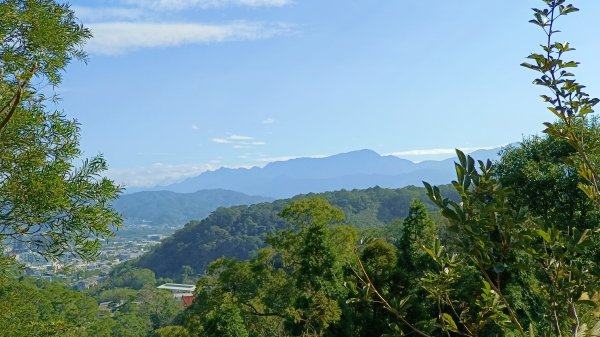 (姨婆趴趴走)第四十五集:新竹竹東三山（新具庄山、樹杞林山、員崠子山）環狀縱走2662254